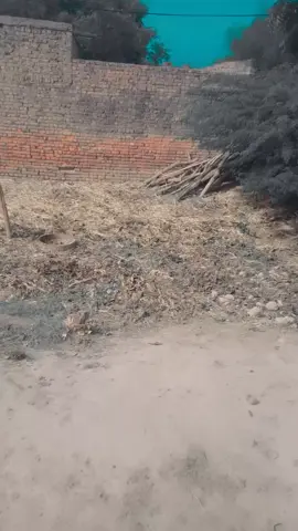 #fyp #fyp #fyp #fyp #fyp 