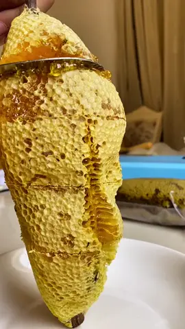 Rolls Royce in Honey#honey #bee #sweet