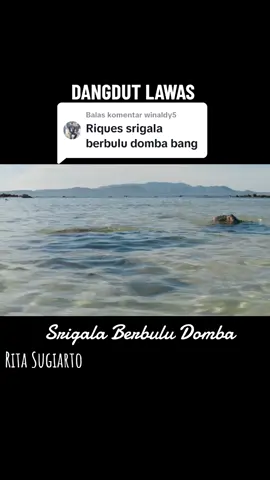 Membalas @winaldy5 #tiktok #legend19 #dangdutlawas #srigalaberbuludomba #ritasugiarto 