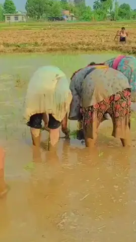 temen koplak..#Comedy #Humor #ngakak  #KeluargaTiktok  #hiduppenuhtawa😂 