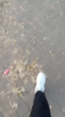 Pura²nya jogging, tapi baru 1 puteran aja wes ngos²an 😂 #jogging #olahragasehat #runn #metimecheck #flk #larisore  #olahragasantai #jalansehat #jalanjalansore #1000langkah 