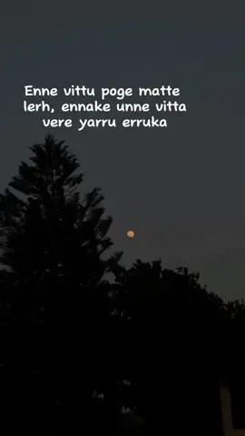 Special Person...✨💜🌎#fypシ #fyppppppppppppppppppppppp #views #1millionaudition #Love #specialperson #carring #dontleaveme #ammukutty  #fyp #dyp #fypdingdongggg #chellow #syg #likes #follow @._𝕾𝖍𝖎𝖐𝖆._💗 #keshika #eswaran#ennavittupogathe 