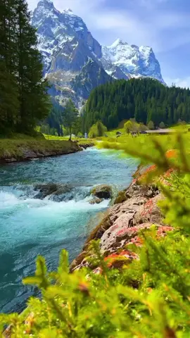 #volkankonak #sularakardoldurur #karadenizkıziii❤️💙 