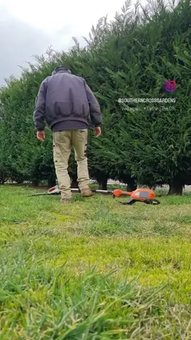 I know I'm not the only one to do this right!?... 😄 #hedging #fun #skills #viralvideo #insta #4u 