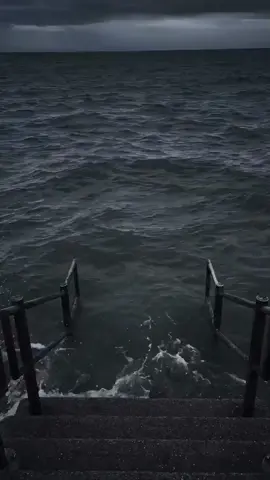 Thấy cũng tội..🤣🤣#meme #memefail #memes #fpy #funny #funnyvideo #xuhuong #xuhuongtiktok #viral #fail #giaitri 