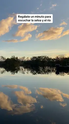 Sobre el río Atabapo viendo los pequeños peces saltar. #Guainia #amazonia #selva #Rio #comunidadesindigenas 