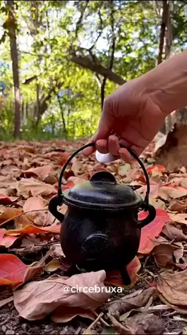 #circebruxa #bruja #feitiço #witchcraft #witch #bruxa #ritual #bruxadotiktok #intuicao 