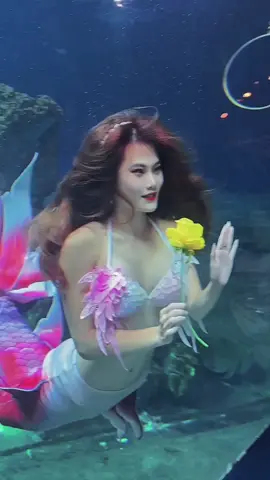 回水裡❤️ #美人魚 #mermaid #fyp 