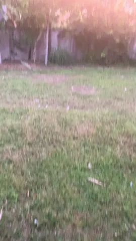 #SoreVibes 