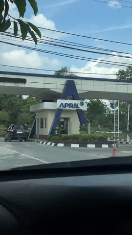 FAKE TRAILER #APRIL #RAPP #pangkalankerinci #pelalawan #akasia #trailer #trucktrailer #riau #pulpandpaper 