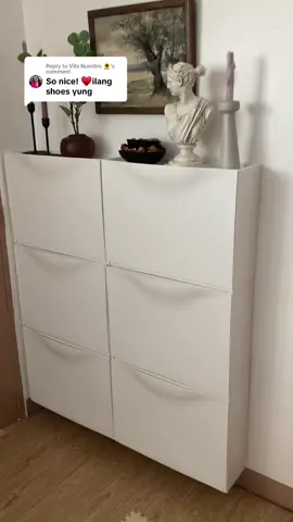 Replying to @Vits Nuestro 🌻   #ikea #ikeaph #ikeahack #ikeafinds #ikeatok #trones #ikeatrones #shoecabinet #smallhome #tinyhouse 