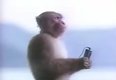 monkey with earbuds vibing