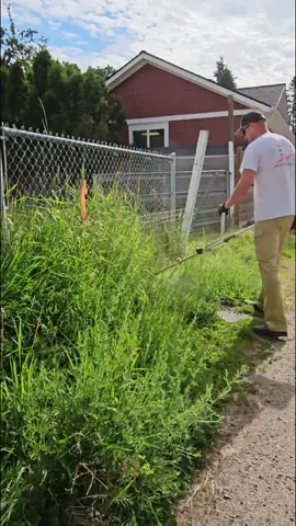 Trimming Tall Grass 🌿 #lawncare #satisfying #fyp #relaxing 