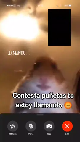 -, para cuando no te responda la llamada #fyppppp #boludeces #xddd #contestapuñetas #teestoyllamando #pipipupipupipu #pipupipipupipupupipupipu 