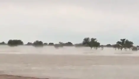 الحفنه عام ٢٠١٩ الله يعيد ذيك لايام💔#fyp #fypシ #foryoupage #foryou 