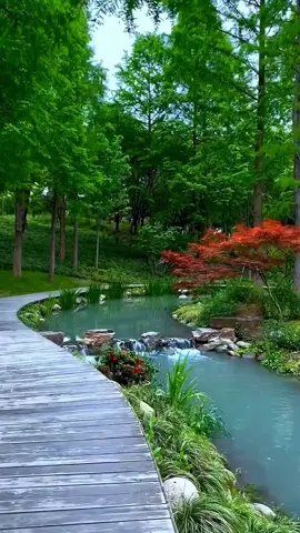 #مناظر_طبيعيه_رائعة #امطار #mo777 