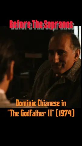 #thesopranos #godfather #70s #movie #before #star 