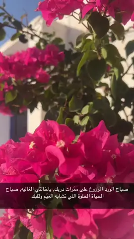 احلى صبااااح في الديره 