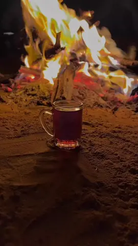 @حوراني 🇸🇾🇩🇪 #سوريا_تركيا_العراق_السعودية_الكويت #درعا #المانيا🇩🇪 #تيك_توك #اكسبلور#شاي #نار #حالات_واتس #حورانه_في_المانيا 