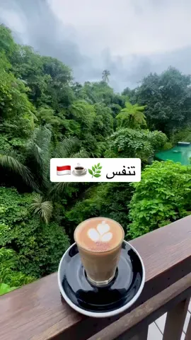 تنفس 🫁 🌿☕️ من منتجع Aksari Resort  في منطقة أوبود Ubud بجزيرة بالي Bali 📍 إندونيسيا Indonesia 🇲🇨 . ‎المبدع: 🎥 @moodii_alduraihem  . ‎‏‎‏#glorious_places_indonesia  ‎‏‎#أماكن_رائعة_اندونيسيا📍🇲🇨 ‎‏‎‏#bali #baliindonesia #balitrip #rain  ‎#مطر #balihotel #travelgram #indonesia #traveltheworld #travelblogger #vacation #vacations #ubud #بالي #سفر #طبيعة #اكسبلور #explore #اندونيسيا #اطلاله #اطلالة #طبيعه #honymoon 