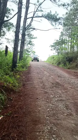 📍El Valle de Anton, El macano