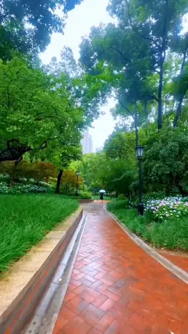 #foryou #scenery #tree #park 