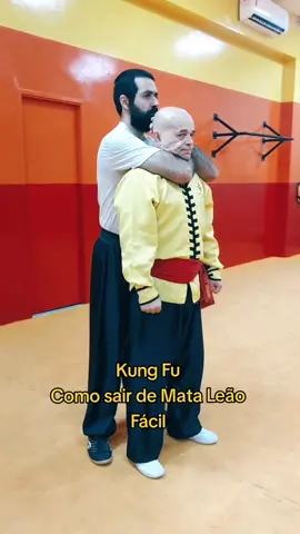 #tskf #kungfu #Kungfuadistancia #kungfuonline #wushu #louvaadeus #artemarcial #artesmarciais #shaolin #chikung #camisadeferro #humor