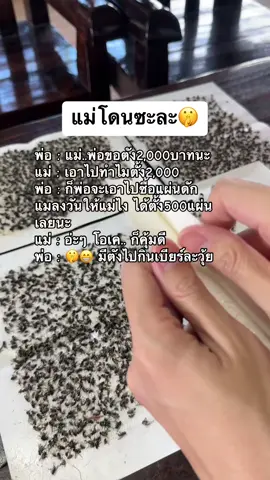 แม่โดนพ่อหลoกซะแล้ววว😁 #กาวดักแมลงวัน #แผ่นดักแมลงวัน #รีวิว #ใช้ดีบอกต่อ #fyp 