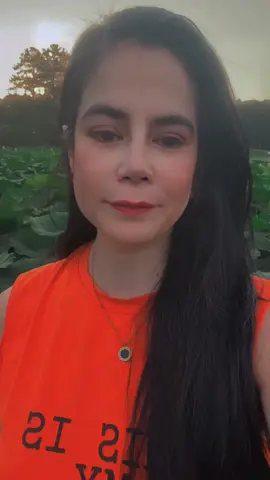 #CapCut 