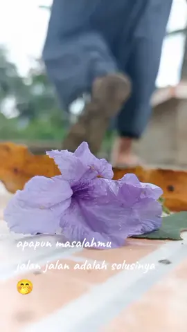 hidup tdk usah di bawa ribet😁🤭 #segeripangkepsulsel #sulsel_bugis #fypシ゚viral 