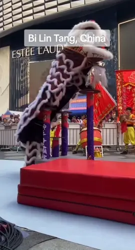 Bi Lin Tang, China .. 🦁 #liondancedepartment #liondance 