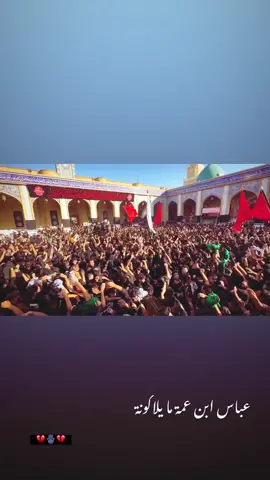 #الشور_المقدس #عبد_الحسين_الزيرجاوي #سيد_مهدي_البكاء #علي_شلال #الكوفه_المقدسه #مسلم_ابن_عقيل_ع 