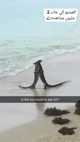 #فيديو_المليون_مشاهدة #الشعب_الصيني_ماله_حل😂😂 #لايك__explore___ #لايك#لايك_متابعه_اكسبلور #capcut @وصلك الأ كسبلور 😎 