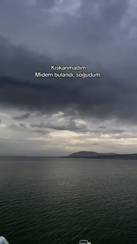 ❤️‍🩹            #bendenbukadar #patrondelmal #soğudum 