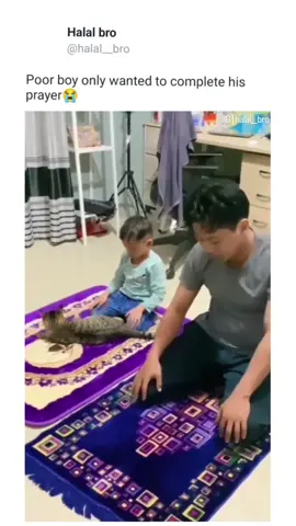 Poor guy 😂😭 #muslimmemes #halalmemes #arabs #arabmemes