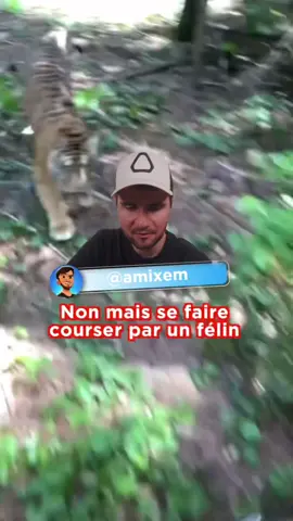Un tigre de compagnie, une journée normal ! #amixem #humour #animals 