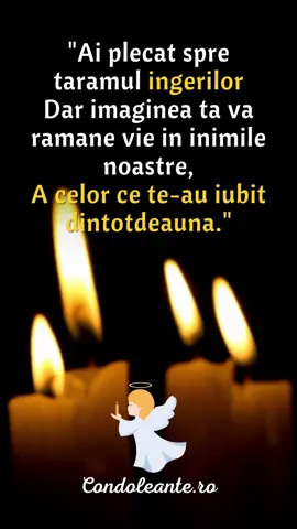 #amintire #amintireata #inimamea❤️ #pierdere #despartire #condoleantero #inger #amintirevie #iubirevesnica #iubireeterna