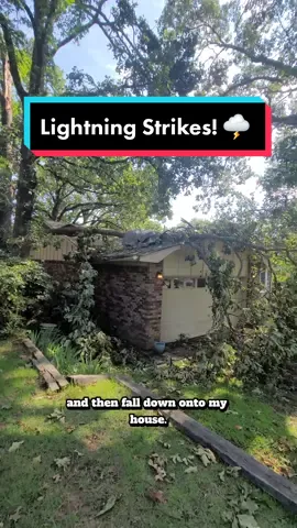 A thunderstorm rolled through with 80-100mph winds on Sunday night. It's crazy how massive and HEAVY these tree limbs can be! No matter what you may be currently facing, search for the things that are going in your favor. I thought this could be a great example of how I choose gratitude in a crazy situation! #gratitude #Thunderstorm #highwind #treelimb #windstorm #blackwomanadvice #positivethinker #Problemsolver 