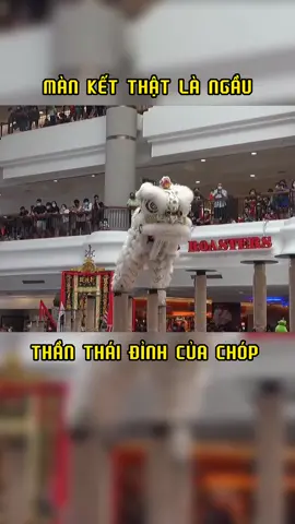 MÀN KẾT THẬT LÀ NGẦU THẦN THÁI ĐỈNH CỦA CHÓP  #lansurong #mualan #hoiquanlansurong #mualansurong #liondance #fyp #foryou #foryoupage 