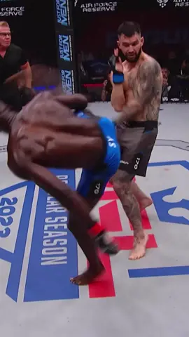 Spinning Kick KO💥                                #mma #UFC #ko