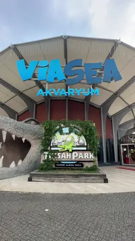 اكواريوم ViASEA 😍🐬#اكواريوم #اسطنبول #صبنجة #تركيا #تصويري #اكسبلور #ترند #fyp #capcut #tiktok 