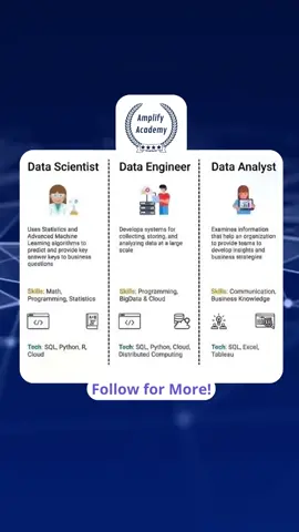 Data Scientist vs Data Engineer vs Data Analyst. Which one do you find most interesting? #datascience #datascientist #dataengineer #dataengineering #dataanalyst #dataanalysis #dataanalytics #data #Science #engineering #analyst #selftaught #selflearn #slefteach #amplifyacademy #career 
