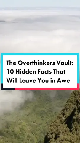 The Overthinkers Vault: 10 Hidden Facts That Will Leave You in Awe #overthinking #overthinker #psychologyfacts #psychological #psychologicalfact #anxious #anxiousthoughts #viraltiktok #fyp 