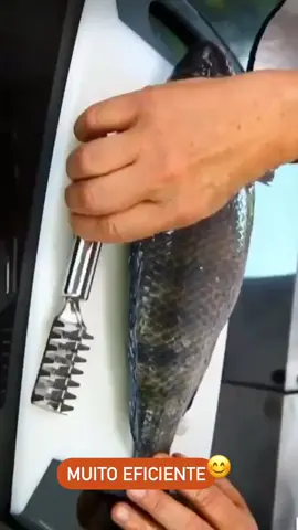 Descamador de peixe em inox! #descamador #escamasodepeixe #cebrutius #peixe 