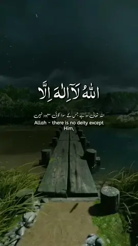 #quran #عبدالرحمن_مسعد 