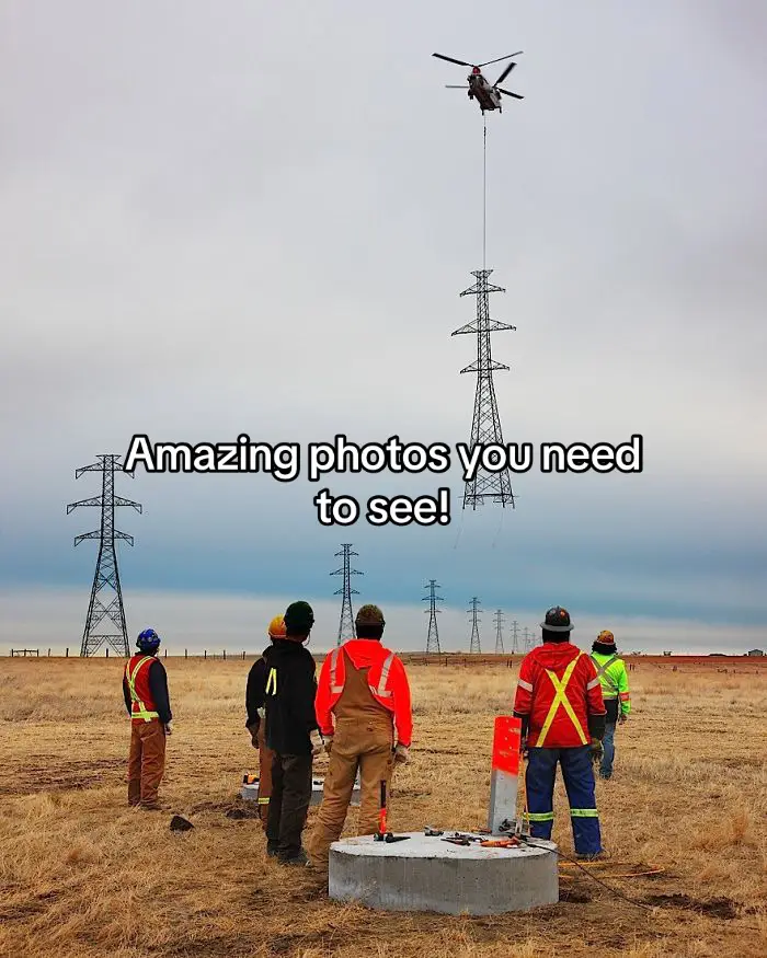 Amazing photos you need to see! These images were truly fascinating to me so I wanted to share then with you all. Which one amazed you the most?  Source: r/amazing #fyp #foryou #slideshow #coolphotos #cool #photography #rare #share #viral 
