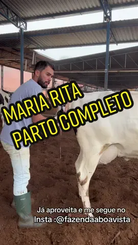 Maria Rita com sua filha linda❤️🐄 #bezerra #vacaholandesa #animais #fofo 