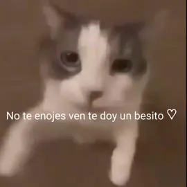 Mándaselo a tu pareja cuando esté enojad@ <3 #paratiiiiiiiiiiiiiiiiiiiiiiiiiiiiiii 