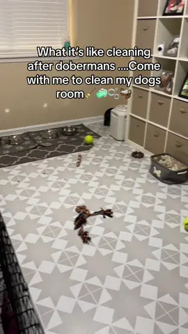 Wireles game changer🧹🧺 Use code:  ORFELD696P for 5% OFF @ORFELD_Tech  #fyp#suavexavier#orfeld#orfeldvacuum  