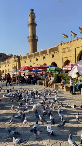 #قلعة_اربيل #هولير #اربيل #عراق #كوردستان #iraq #hawler #kurdistan #erbil #explor #explor #اكسبلور